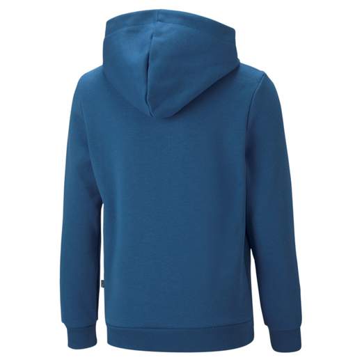ESS+ 2 COL BIG LOGO HOODIE