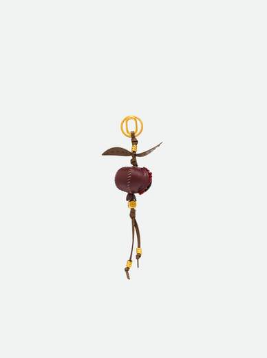 GIANNI CHIARINI @pcle007