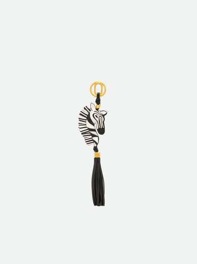 GIANNI CHIARINI @zebra03