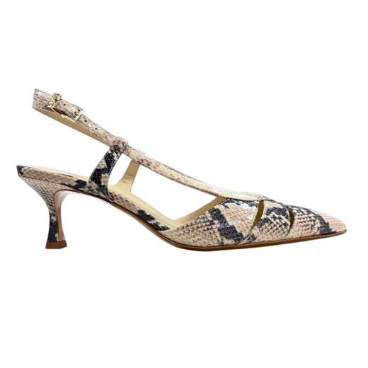 Sergio Levantesi EDDA6