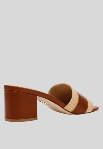 STEVE MADDEN KNOXVILLE