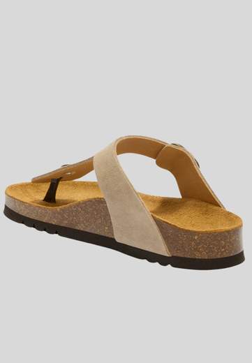 Scholl ANAIS