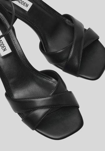 STEVE MADDEN SMSFERGIE