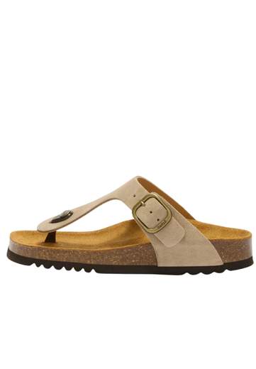 Scholl ANAIS