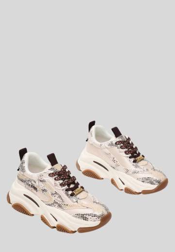 STEVE MADDEN Possession-lt