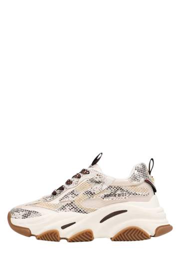 STEVE MADDEN Possession-lt