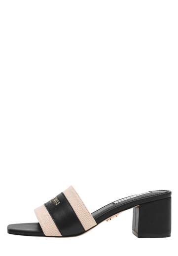 STEVE MADDEN KNOXVILLE