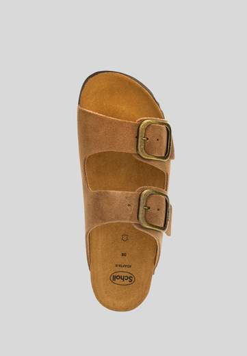Scholl Noelle