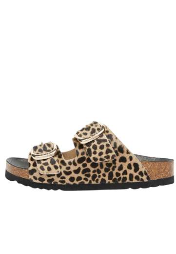 Scholl Noelle Printed