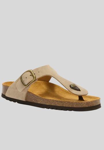Scholl ANAIS