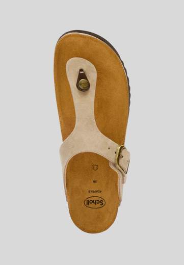 Scholl ANAIS