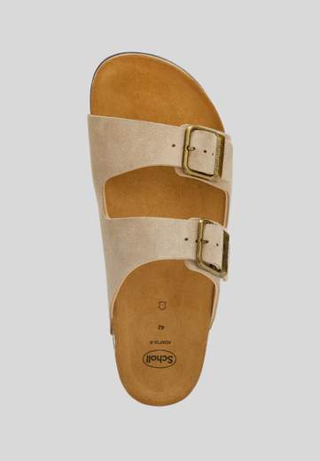 Scholl Noelle
