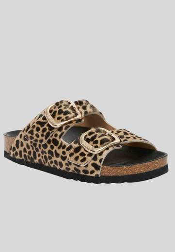 Scholl Noelle Printed