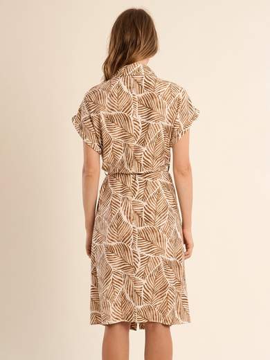 MOLLY BRACKEN N298EE