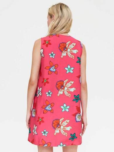 COMPANIA FANTASTICA 61C/11312