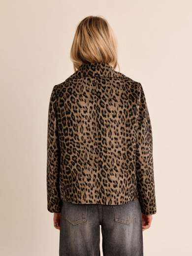MOLLY BRACKEN T1843EH