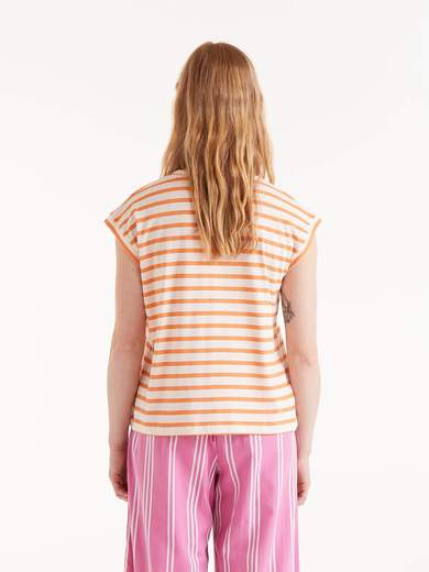 COMPANIA FANTASTICA 52C/42107/PE25