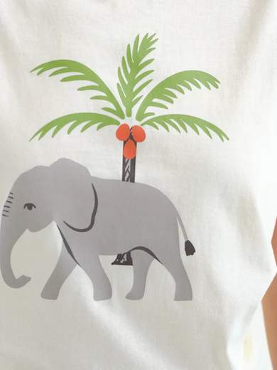 COMPANIA FANTASTICA 62C/42121