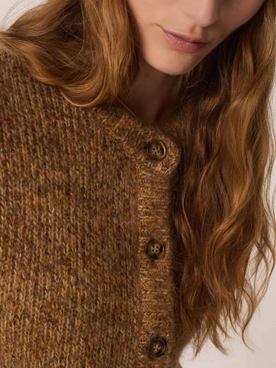 DES PETITS HAUTS AMBRE