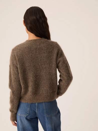 DES PETITS HAUTS DIMITRI