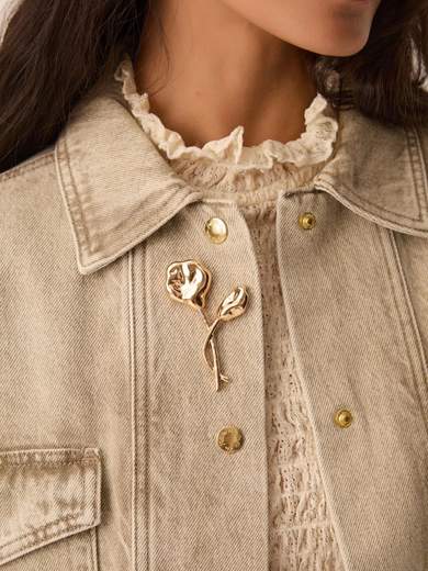 DES PETITS HAUTS PHLOX-AI26