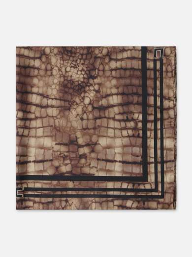 ELISABETTA FRANCHI Foulard FO24L61E2