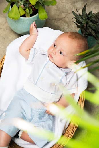 LA STUPENDERIA EDOARDO CCCT71S09 S08