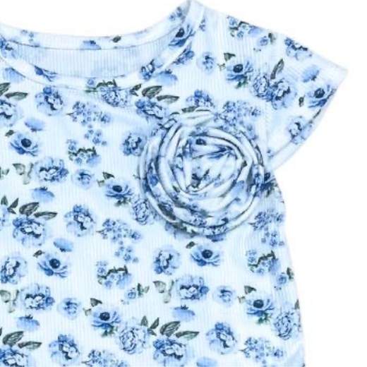 NEW COLLECTION 33829T