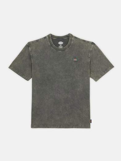 DICKIES DK0A4YRO