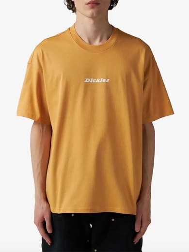 DICKIES DK0A4YRN