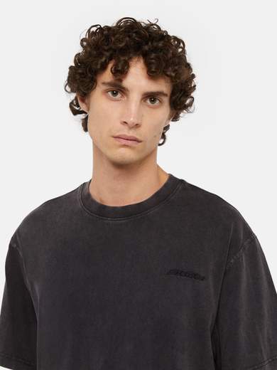 DICKIES DK0A866B