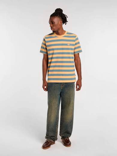 DICKIES DK0A4Y8Y
