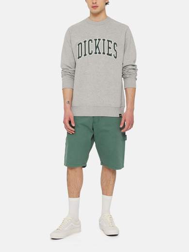 DICKIES DK0A4XAB