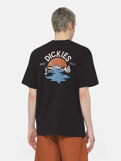 DICKIES DK0A4YRD