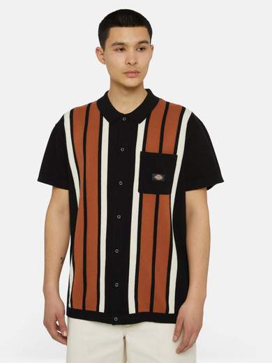 DICKIES DK0A4YSO
