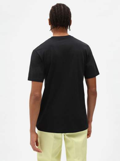 DICKIES DK0A4XDB