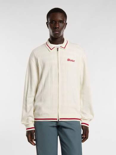 DICKIES DK0A4Z79