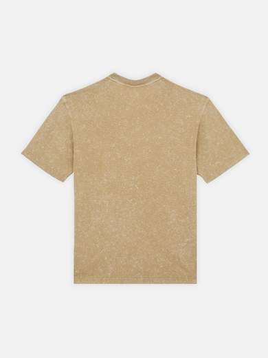 DICKIES DK0A4YRO
