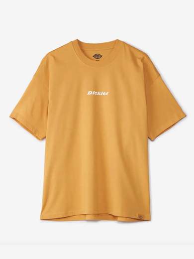 DICKIES DK0A4YRN