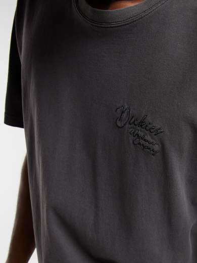 DICKIES DK0A4Z8W