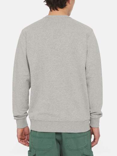 DICKIES DK0A4XAB