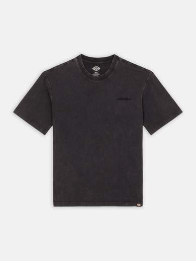 DICKIES DK0A866B