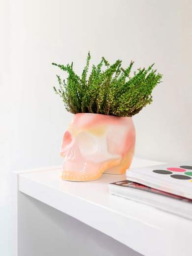 FISURA HGA2320079 Skull Pot Vase