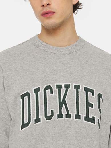 DICKIES DK0A4XAB