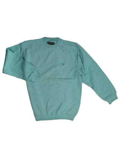 TURQUOISE Acqua felpa girocollo