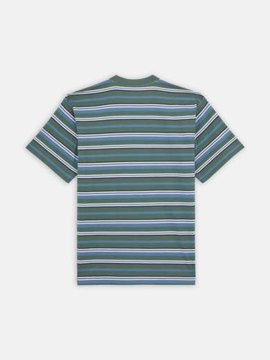 DICKIES DK0A4YR1