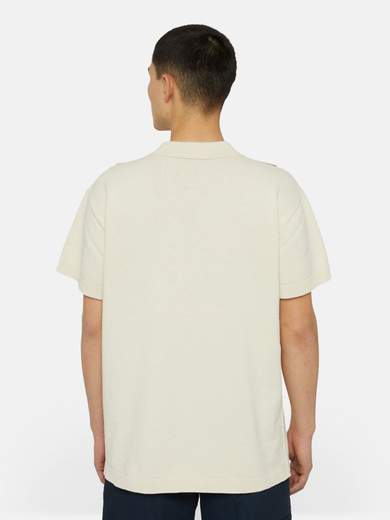 DICKIES DK0A4YSO