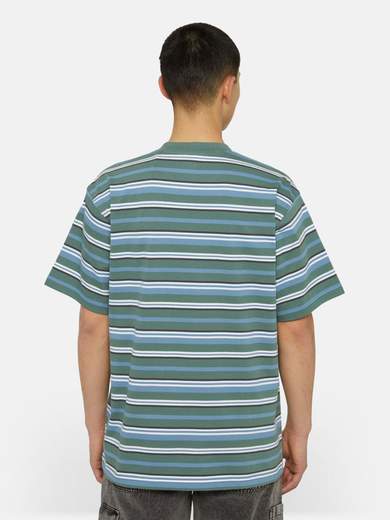 DICKIES DK0A4YR1