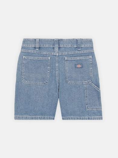 DICKIES DK0A4Y88