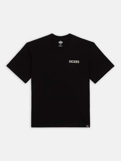 DICKIES DK0A4YRD